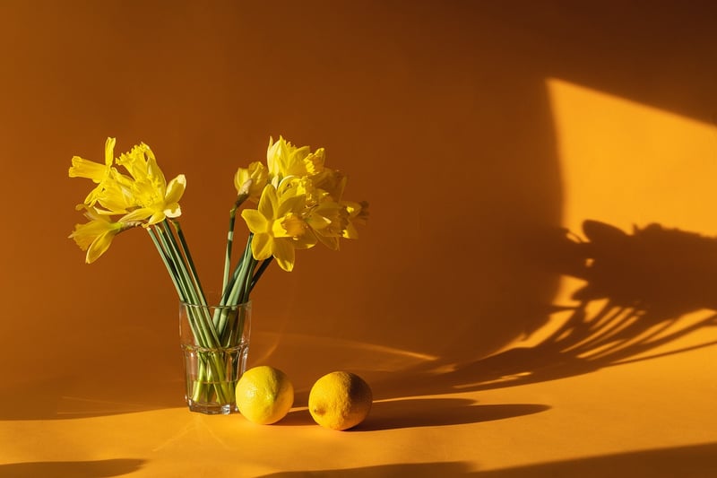 Sustainable Home Decor